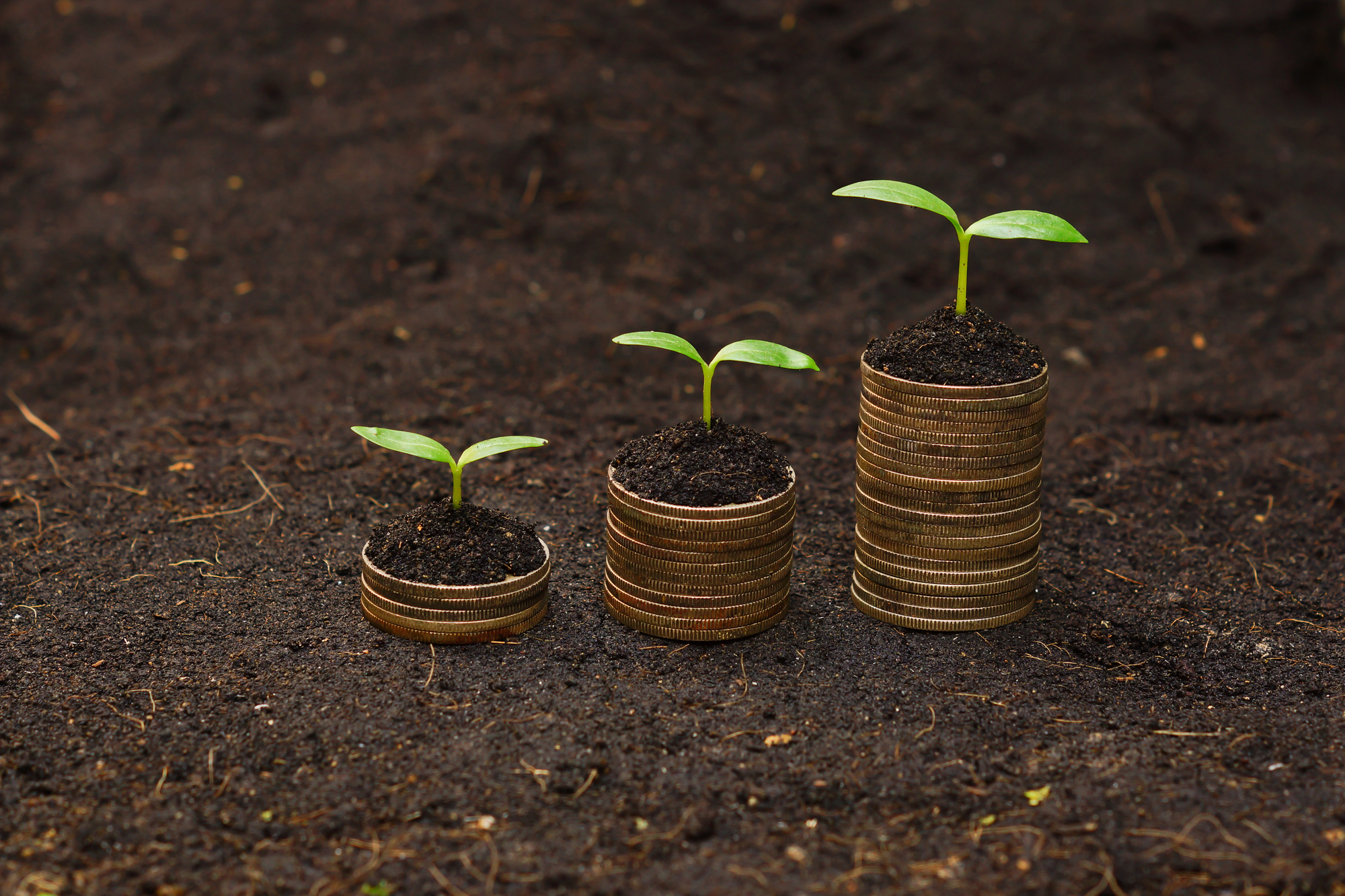 Wir bieten Kredite für Privatpersonen und Unternehmen- Whatsapp: +905432421487